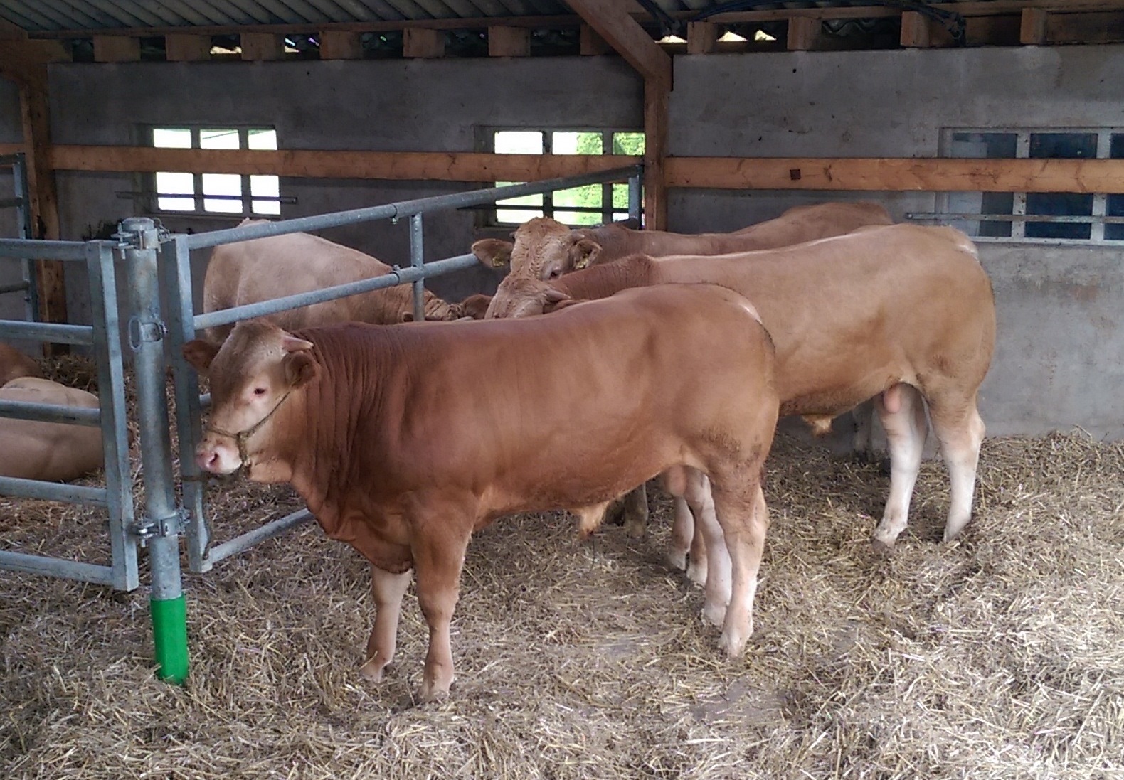 Nieuwe ronde op het COT