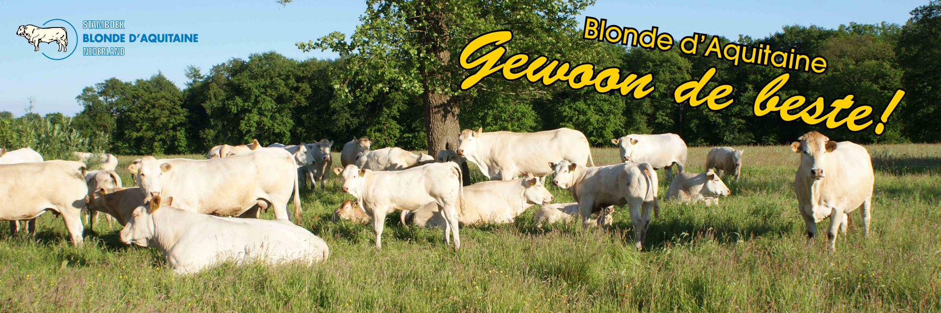 Nieuwe PR in de AA-hal in Zwolle