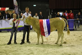 1 kamp.vrl. tot 1 jr. cat.nr.