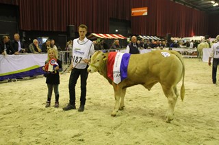 3 kamp.mnl. tot 1jr. cat.nr.187