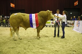 7 kamp.mnl. tot 3jr. cat.nr.195