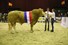 7 kamp.mnl. tot 3jr. cat.nr.195