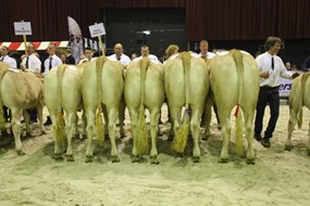 bedr.groep Gerritsen 1