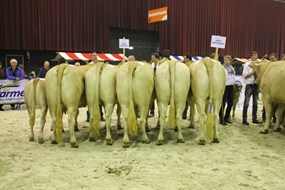 bedr.goep Gerritsen 2