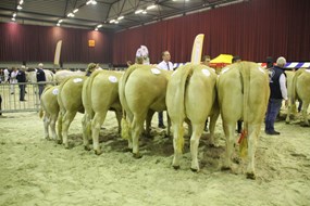 bedr.groep Woeste Hoeve