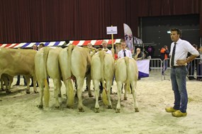 bedr.groep Boerland