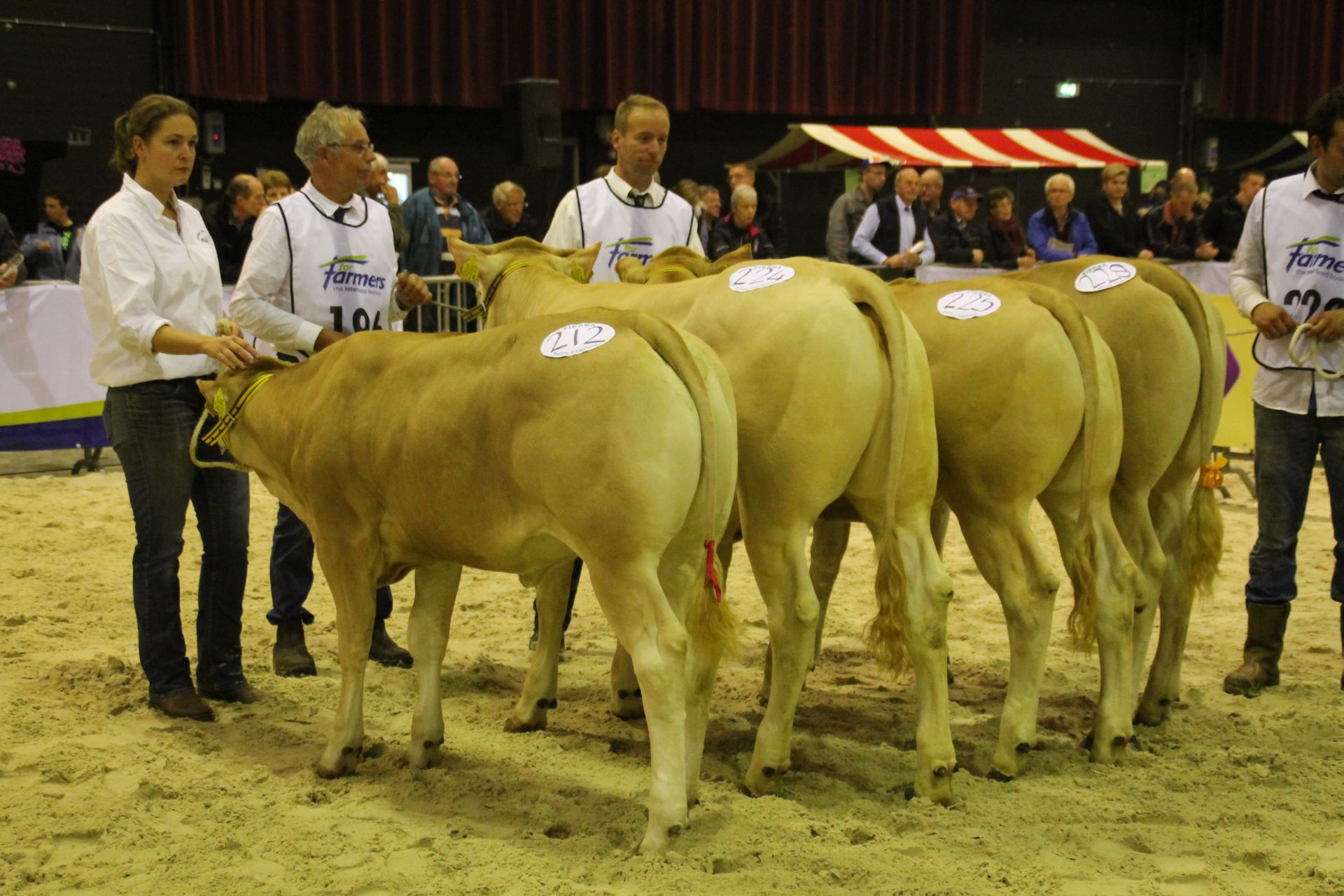 De reservekampioenen in Zwolle