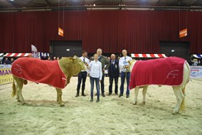 DSC05892 beste  mnl.- vrl..slachteig.schappen