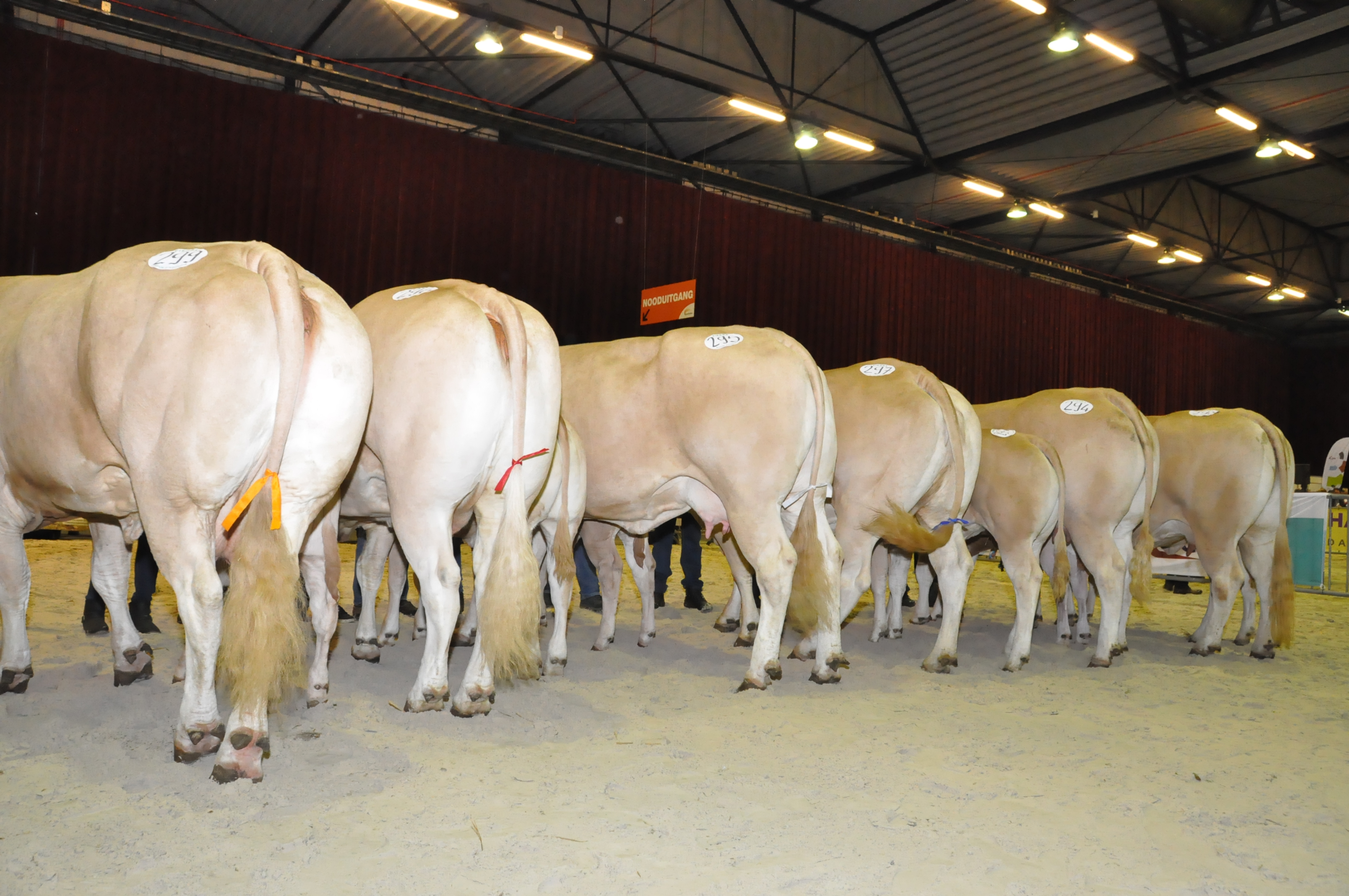 Fotoreportage nationale keuring