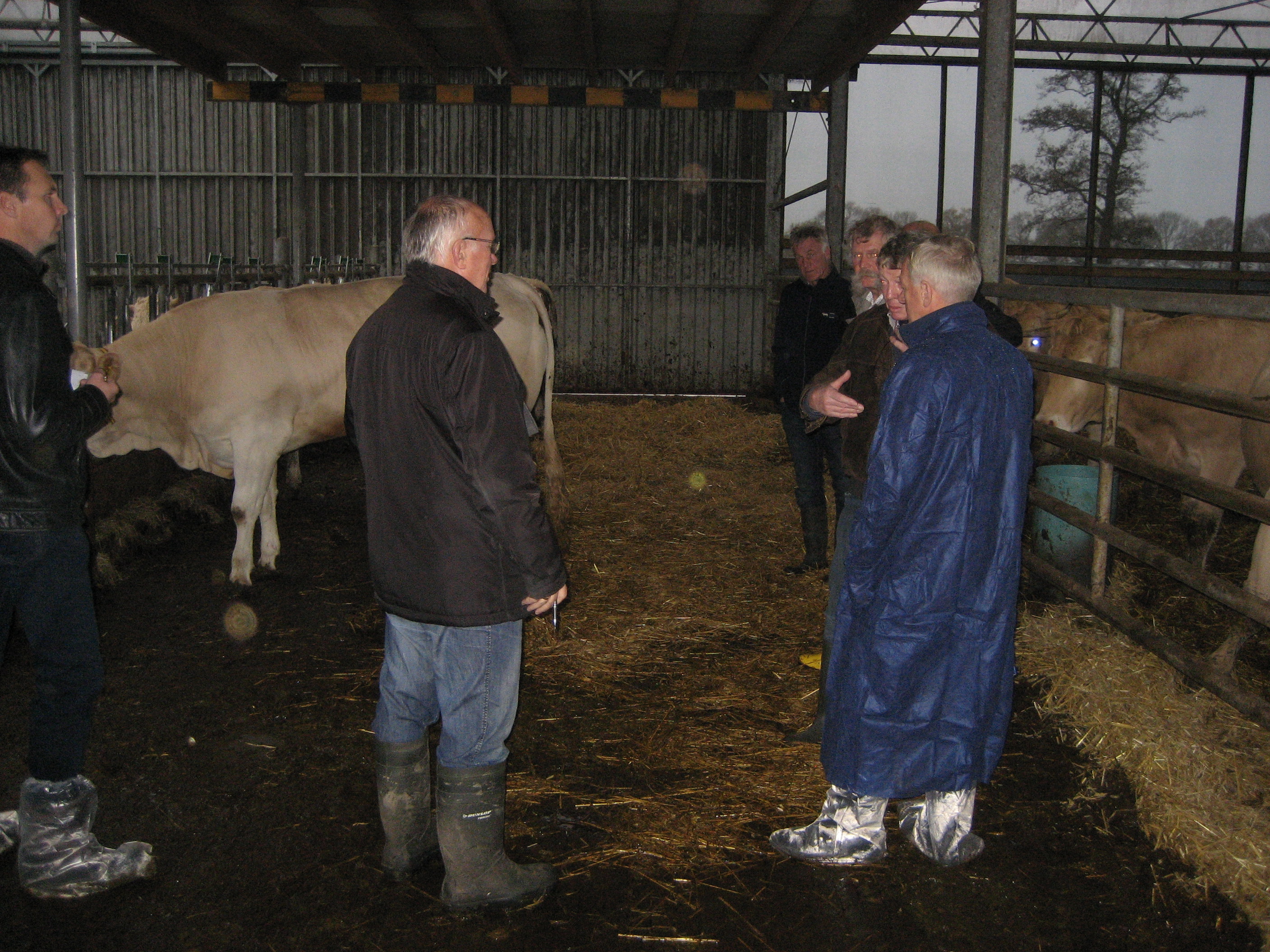 Jaarlijkse uniformering