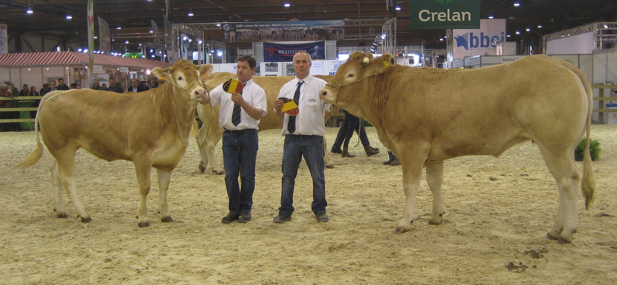 Blommerschothoeve domineert keuring in Brussel