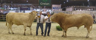 best vlees Estaire en Igor