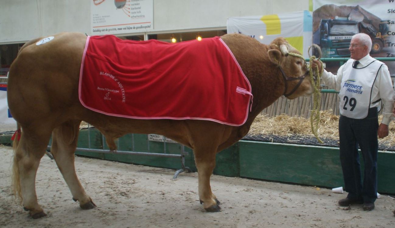 Harrie Dekkers overleden