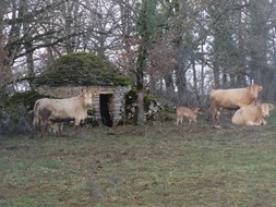 jaar rond buiten