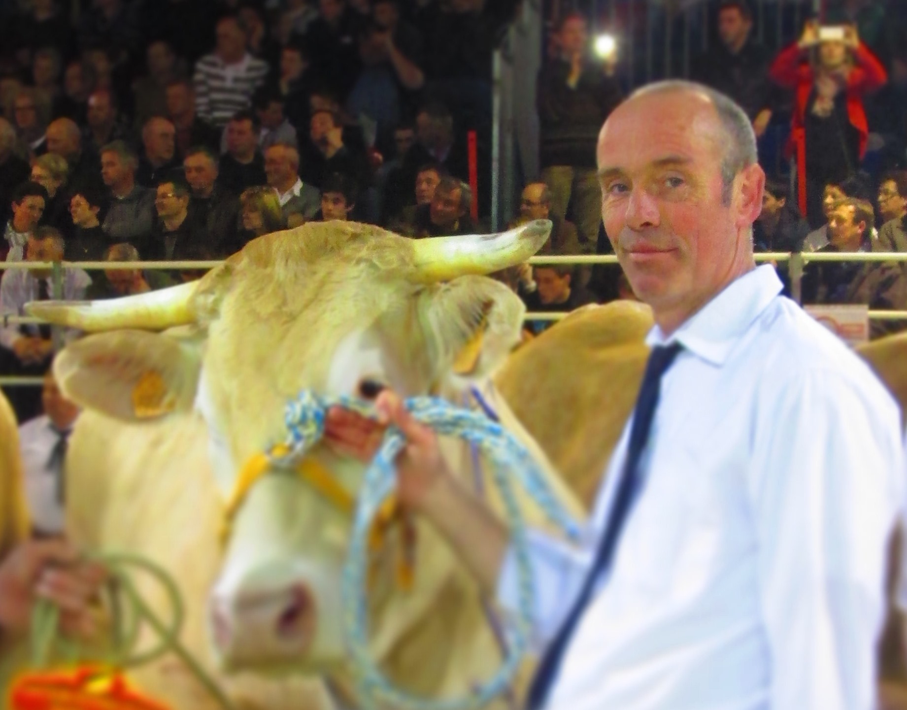 Peter Thissen jureert op de Blonde d'Aquitaine keuring in Enter