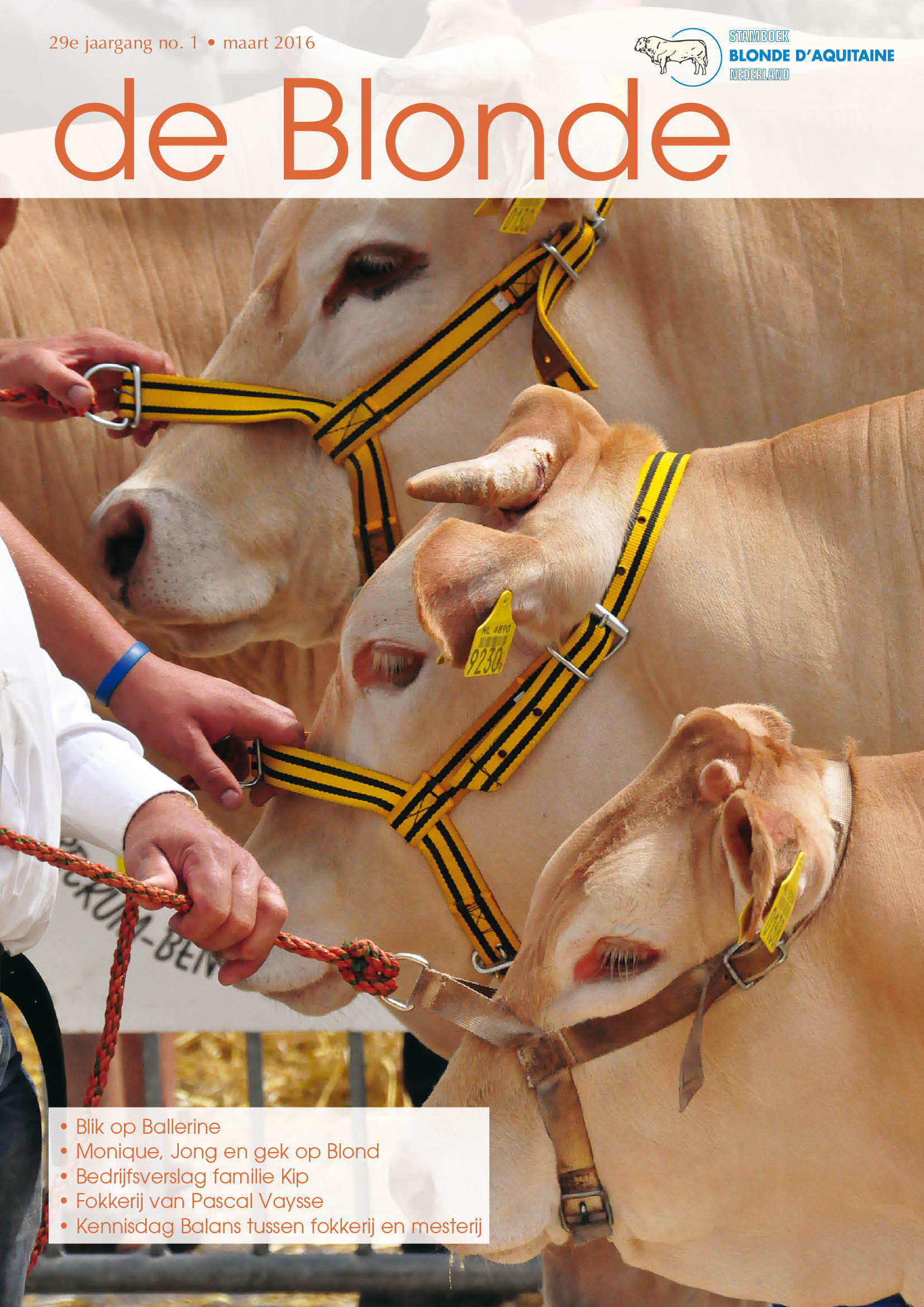 Binnenkort in de Blonde