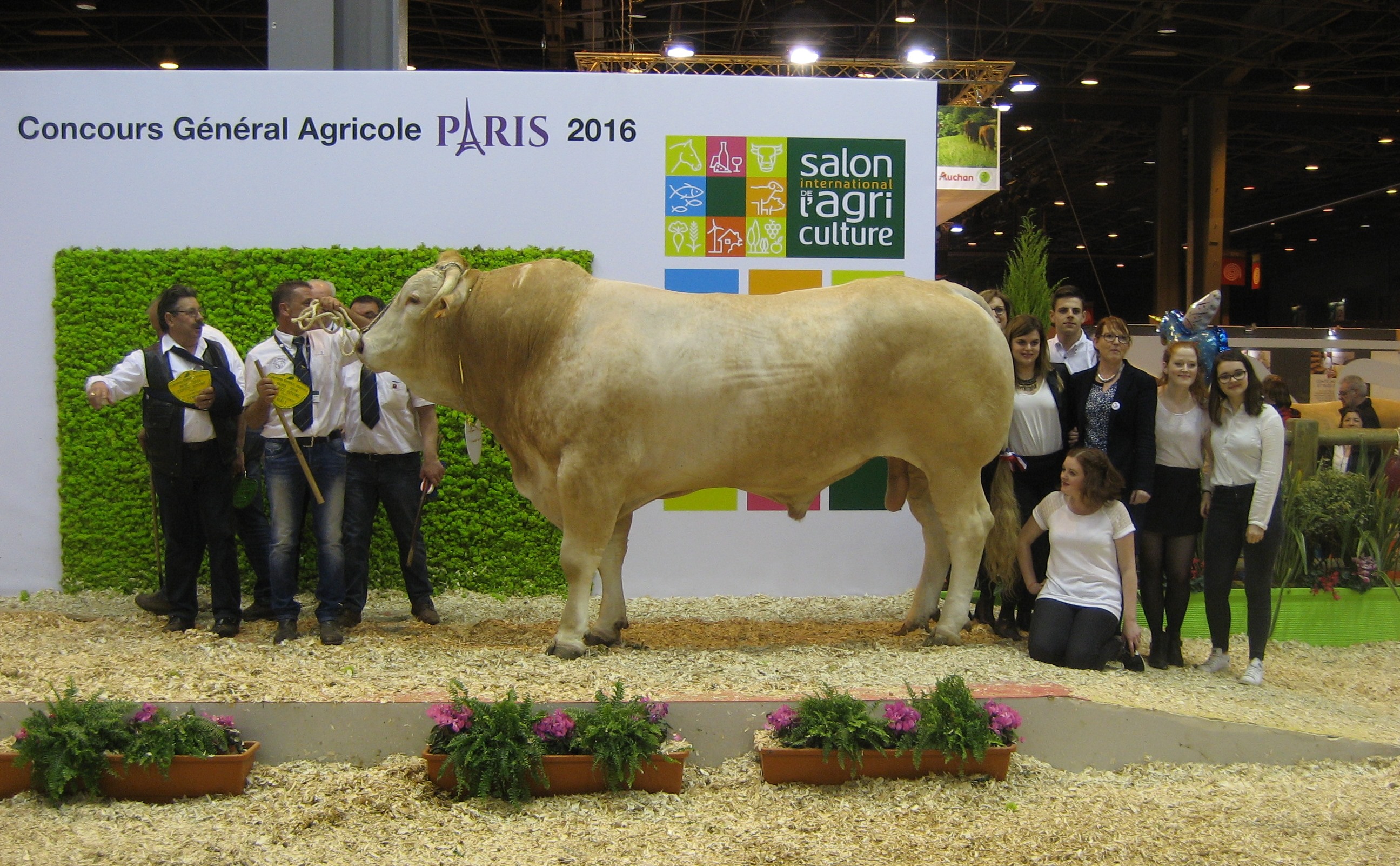 Helette en Gagnant de nieuwe kampioenen op de SIA