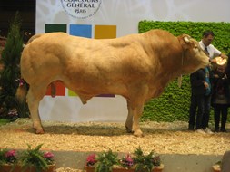 Fabuleux