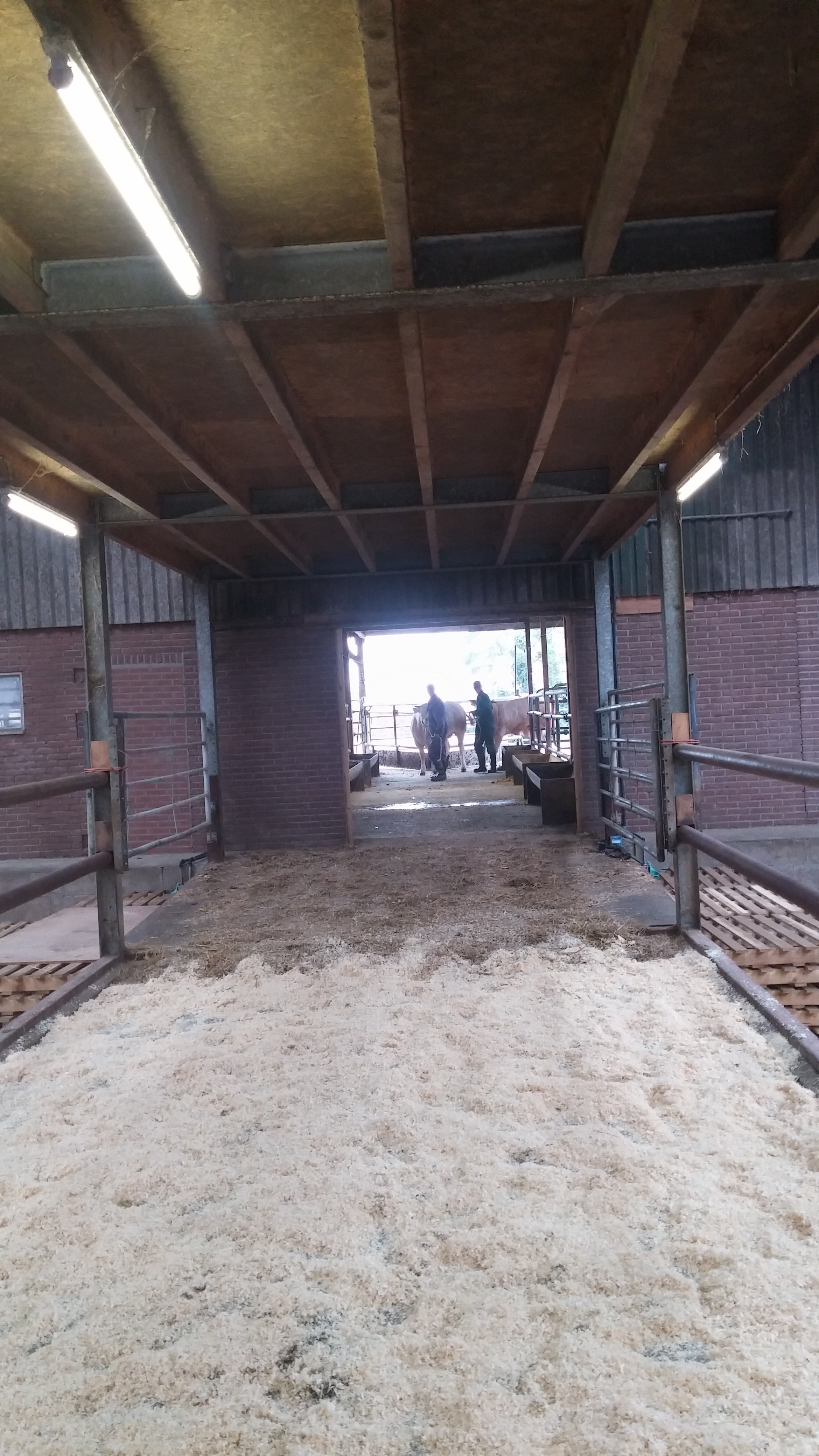 Oefenrondje voor COT veiling