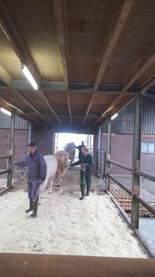 oefenrondje2