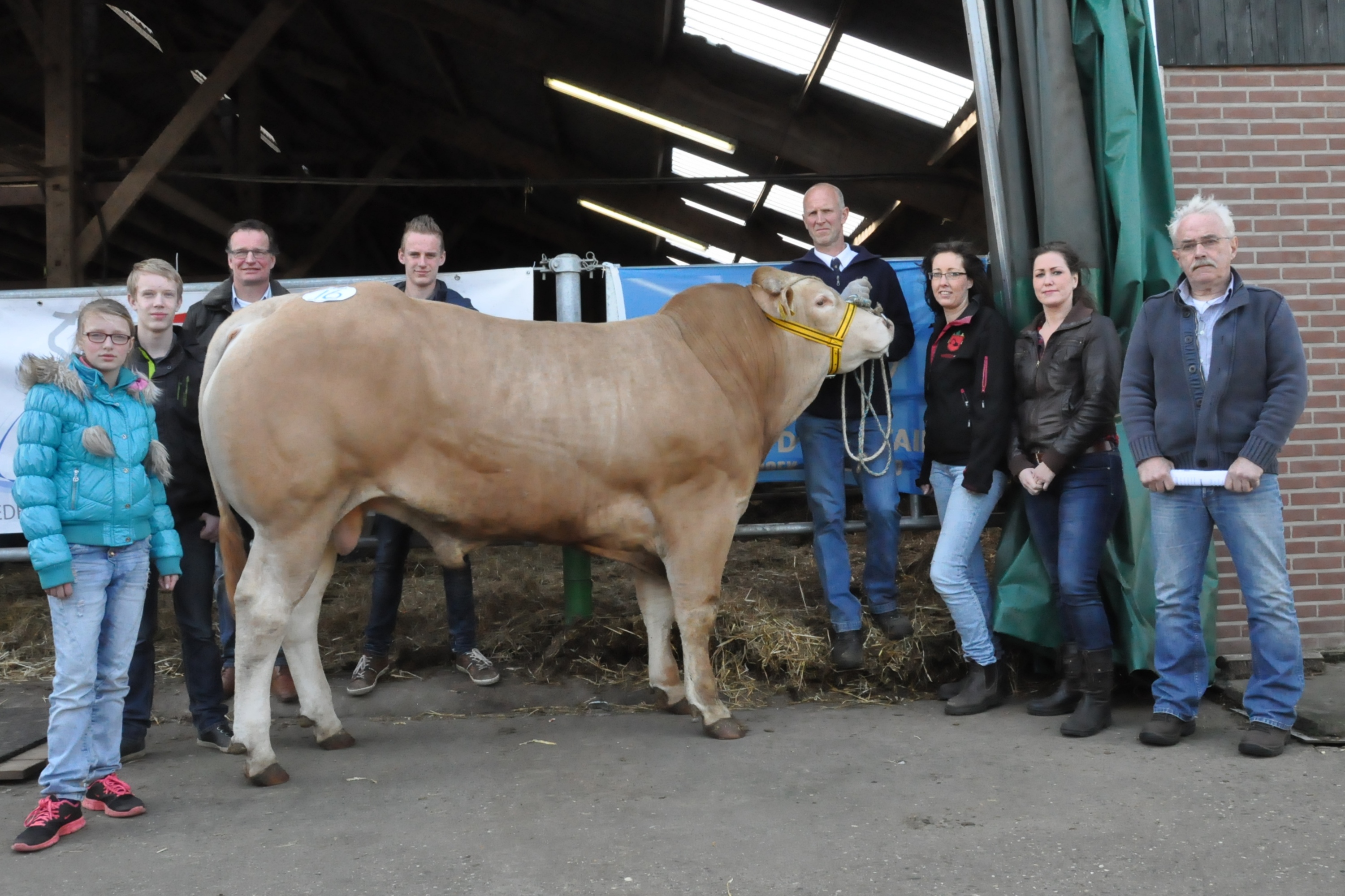 Geweldig record op COT-voorjaarsveiling in Laren
