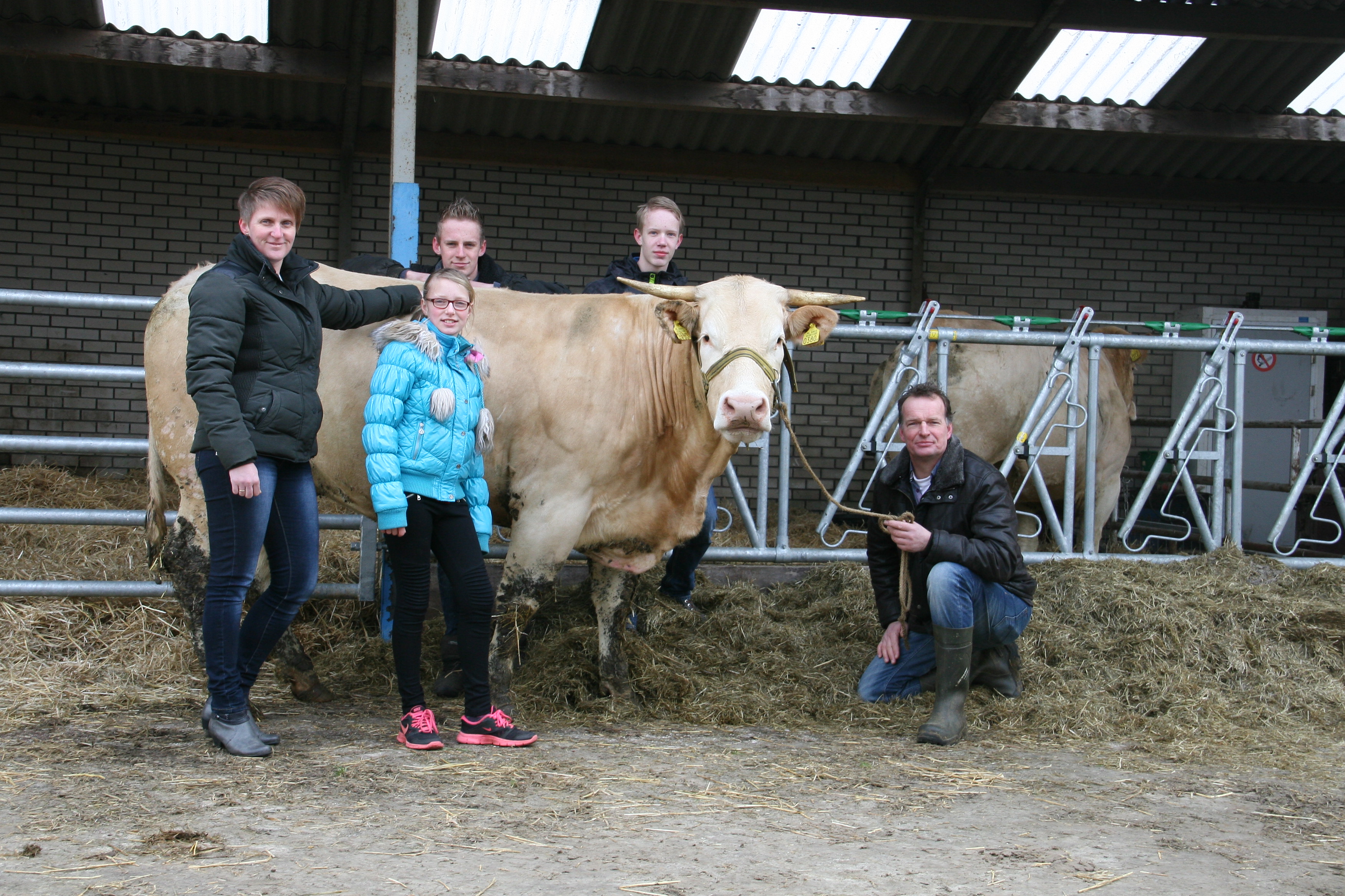 Bedrijfsverslag familie Kip in De Wijk