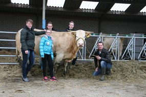 familie Kip