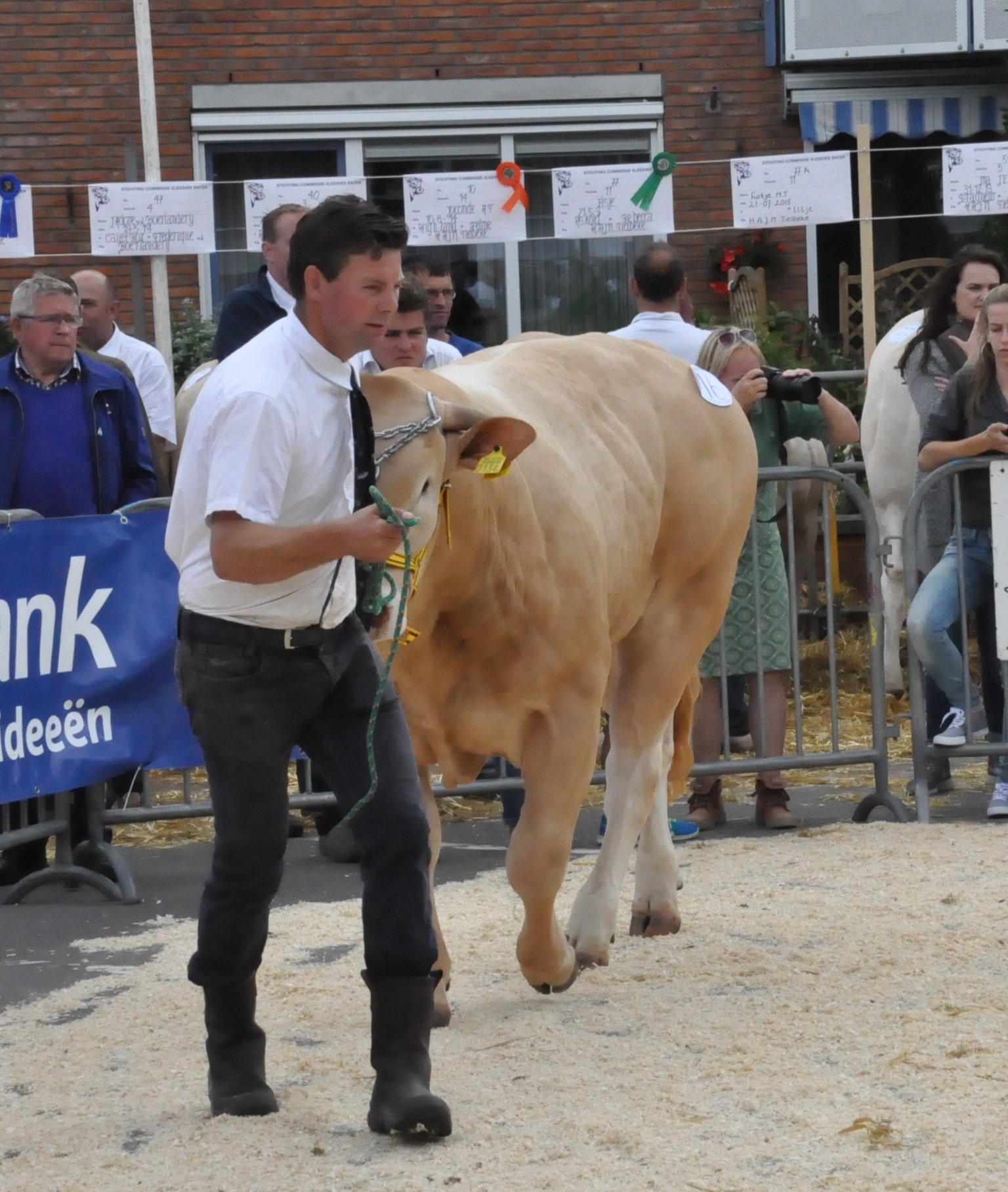 Genomineerden Blonde Award 2015