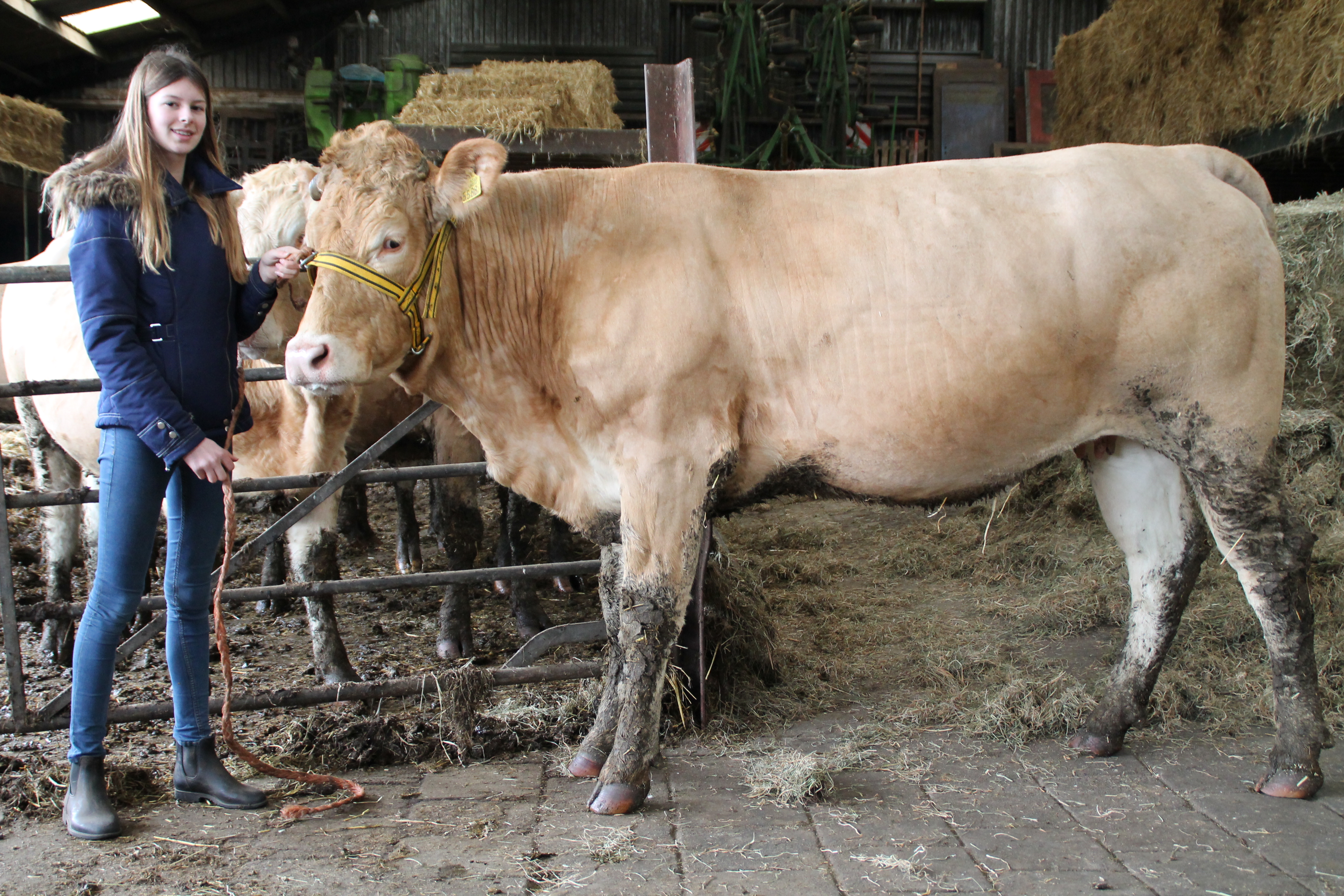 Monique. Jong en gek op Blond