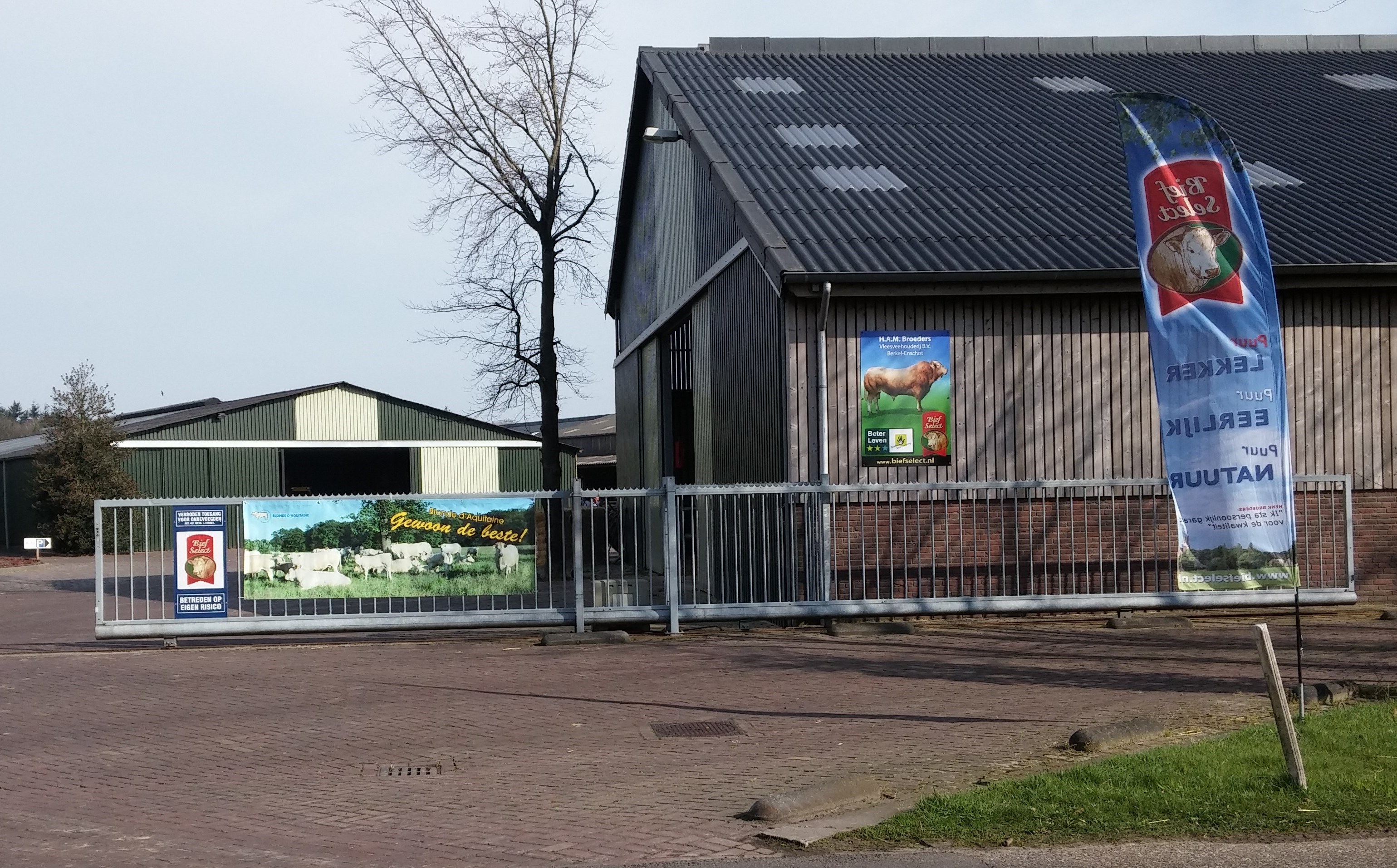 Geslaagde aftrap Kennisdag 'Balans tussen fokkerij en mesterij'