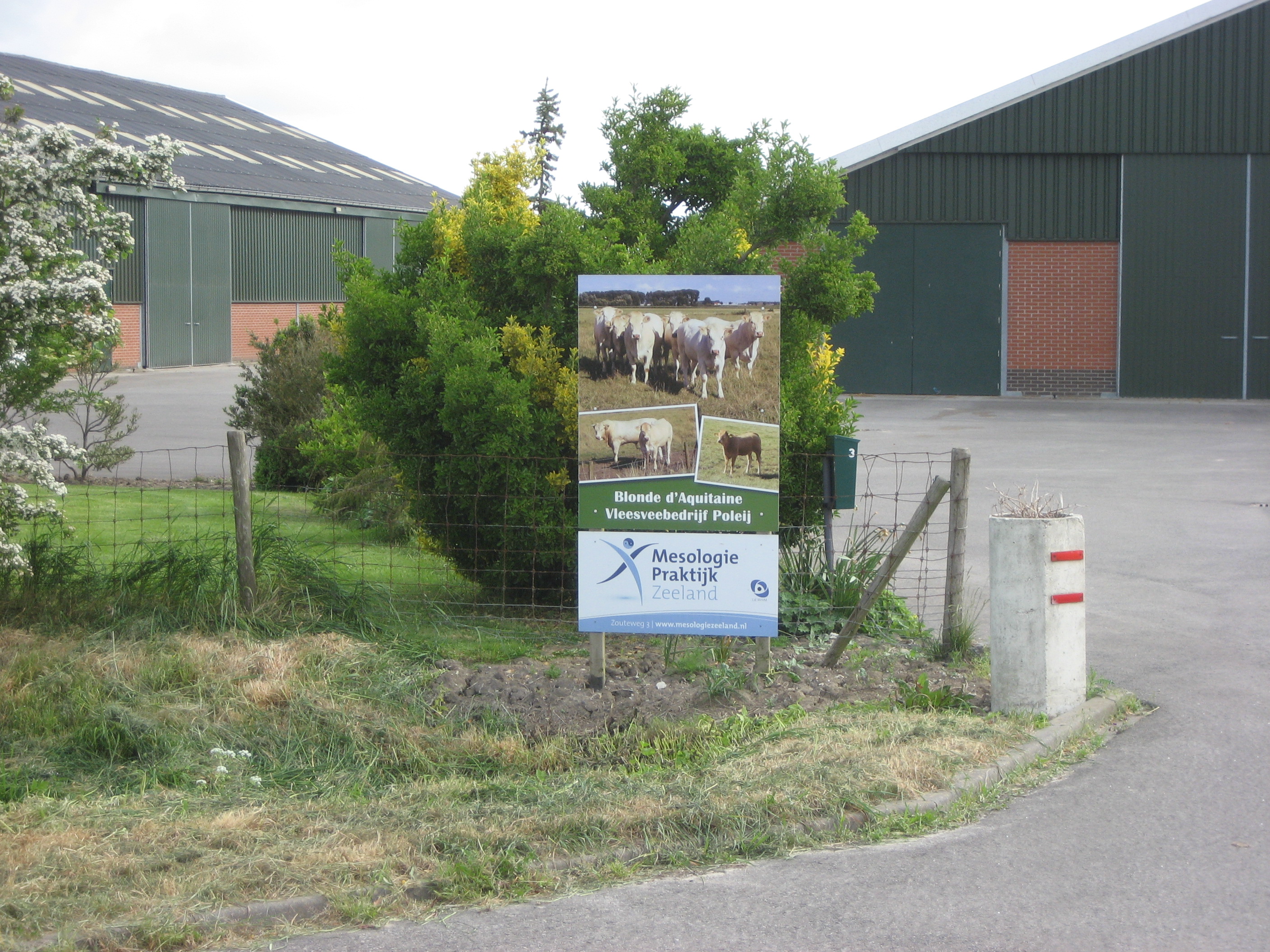 Piet en Willy Poleij willen graag een mooie maar ook rendabele koe fokken