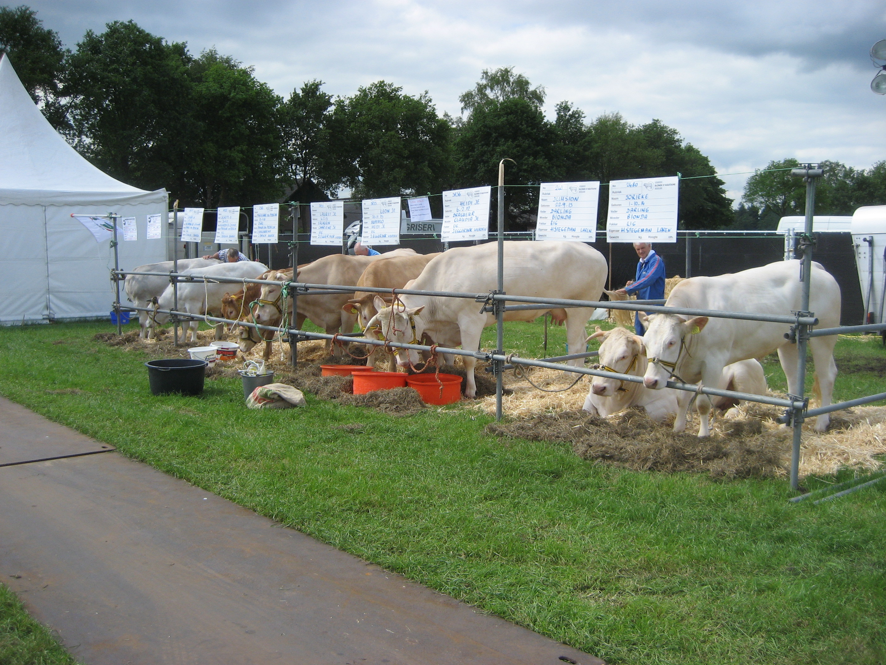 Zonnige start op de land & tuinbouwbeurs in Zelhem