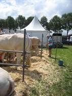Zelhem 31 mei 1