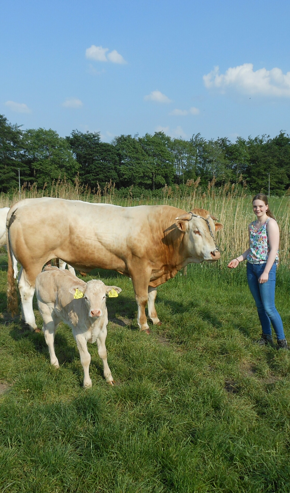 Jong en gek op Blond, Arianne Deurloo
