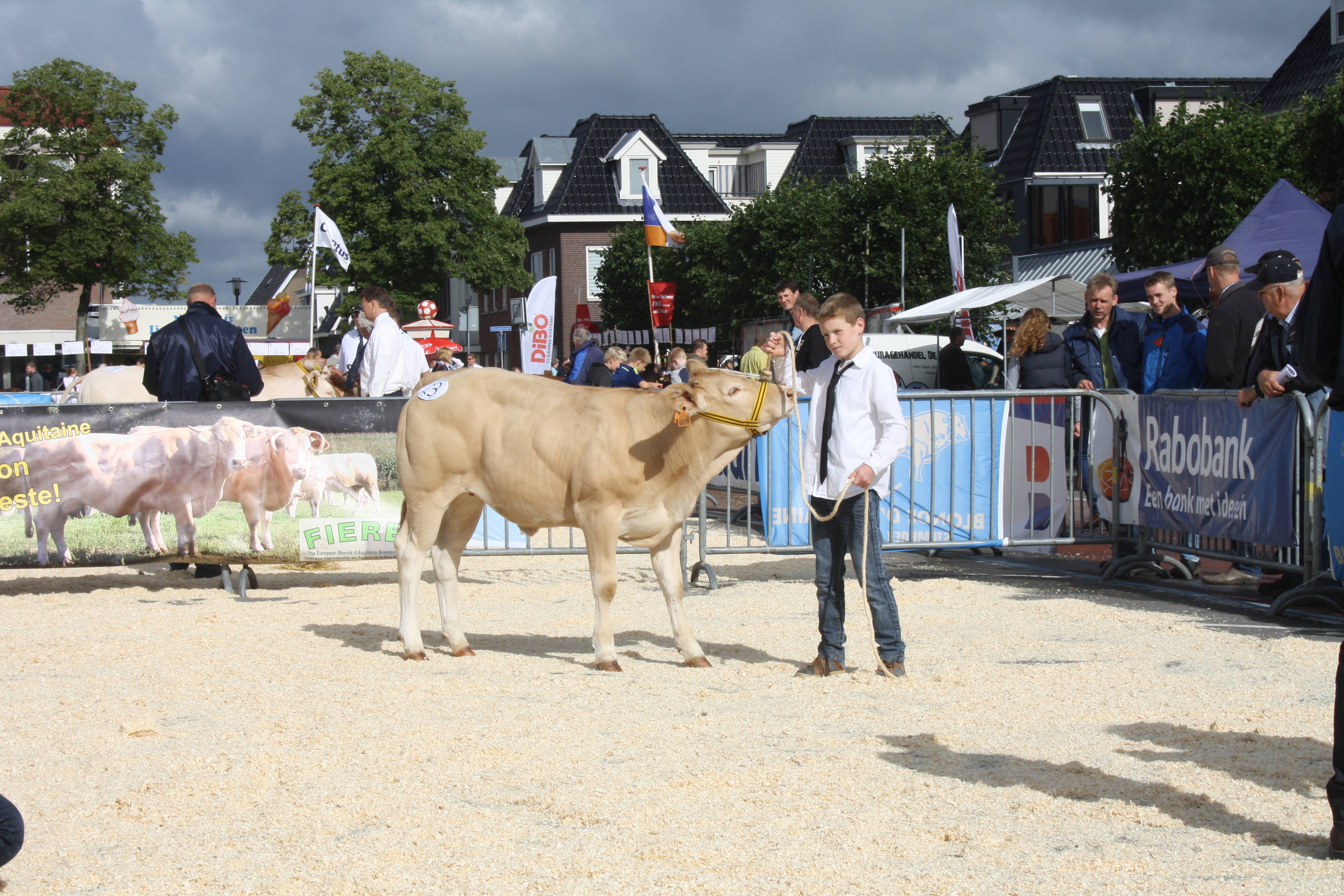 Vervoer naar de keuring in Enter op 11 augustus