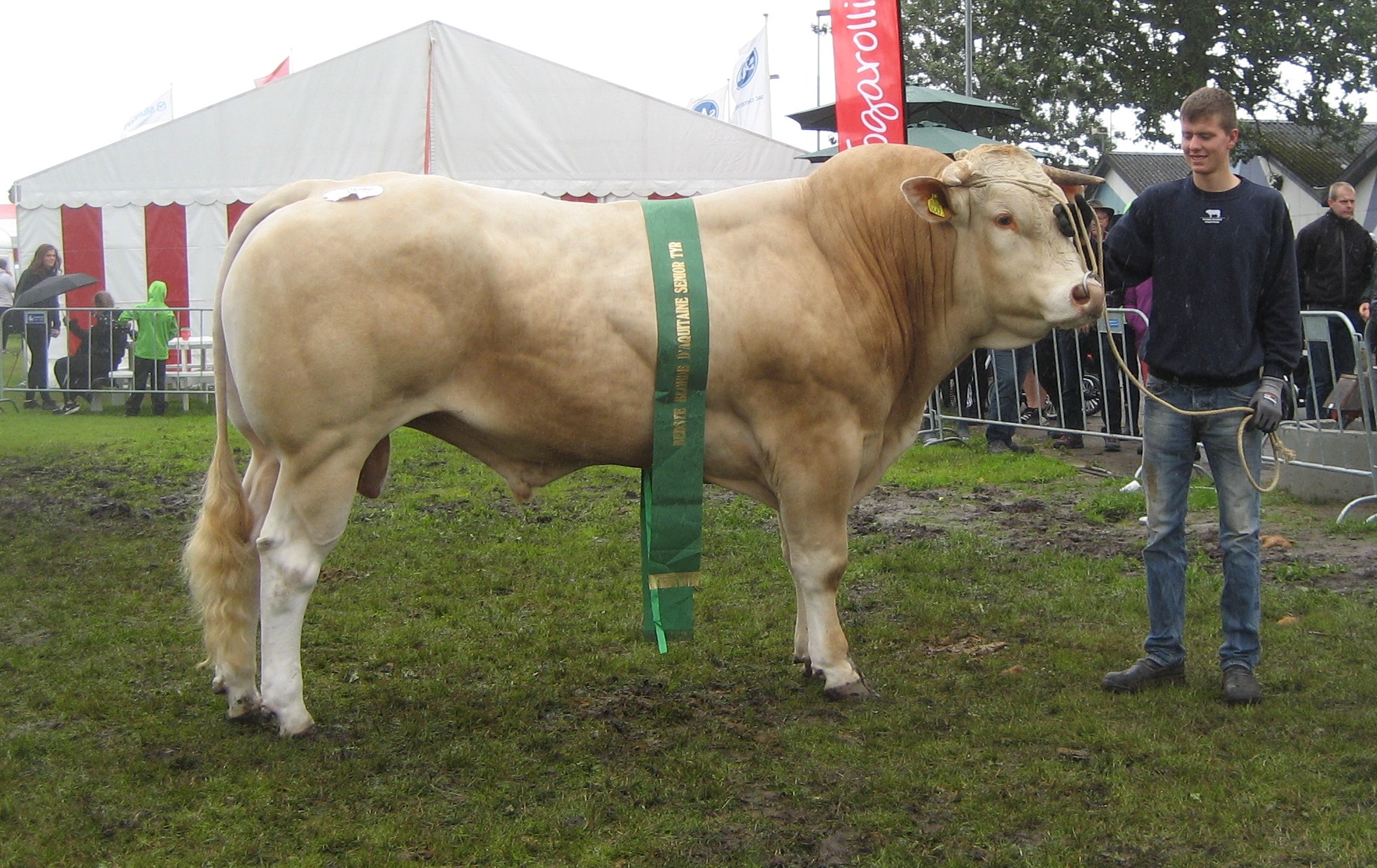 Nederlands tintje aan nationale keuring in Denemarken