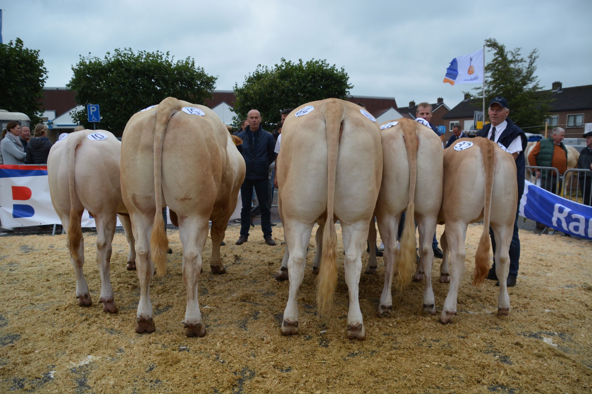 Kwaliteit op de keuring in Enter UPDATE