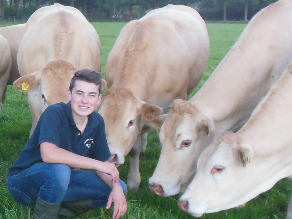 Jong en gek op Blond