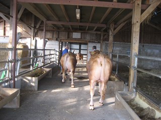 oefenen 2