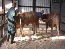 oefenen 3