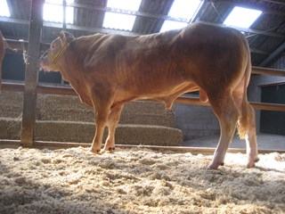 oefenen 4