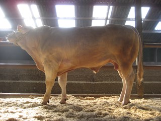 oefenen 6