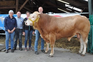 BAC Lenz veilingtopper