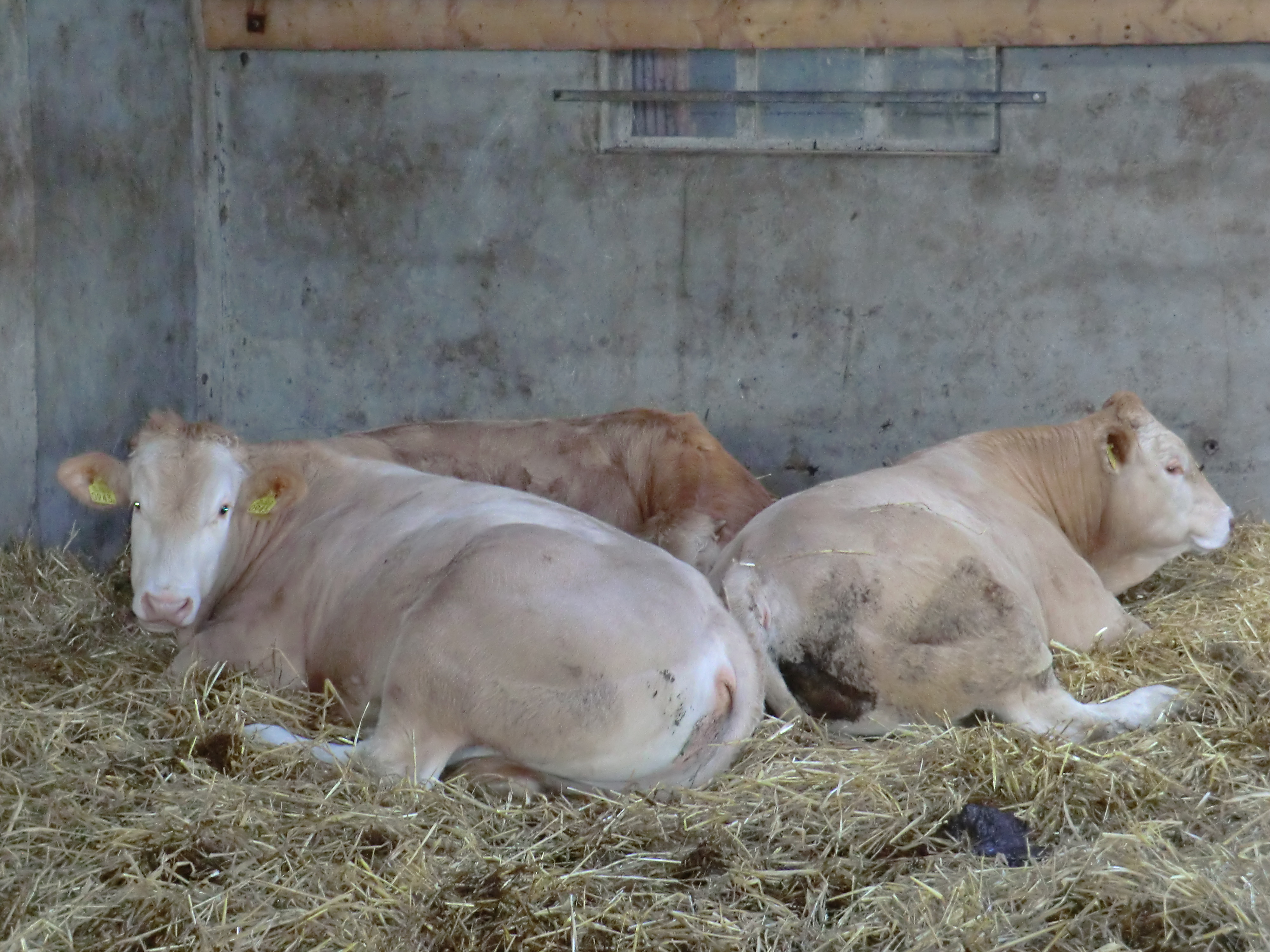 Nieuwe ronde geïnstalleerd 