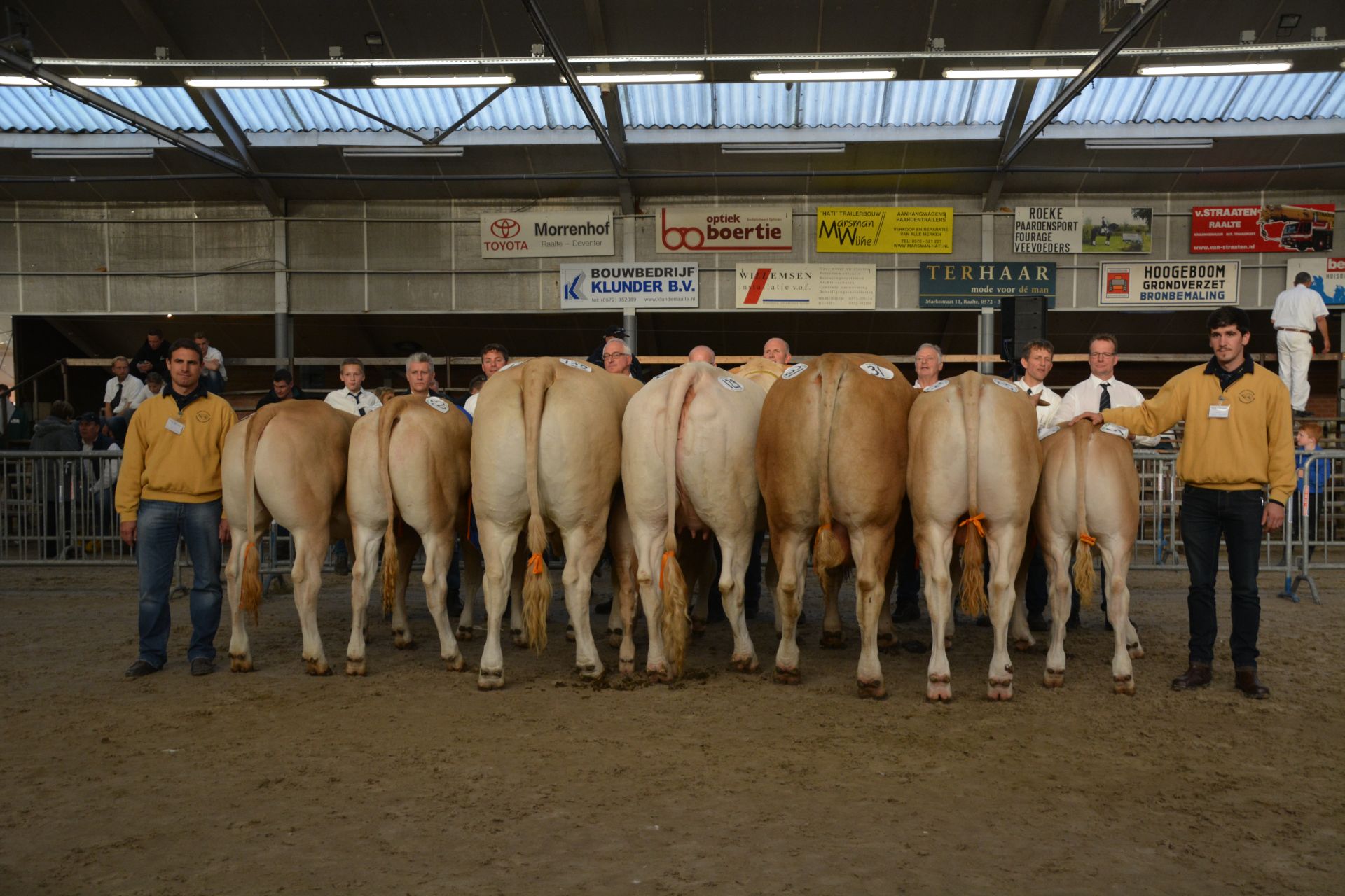 Uitslagen nationale keuring
