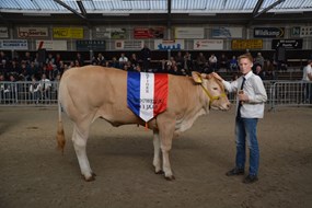 Kamp.vrl. tot 1 jaar