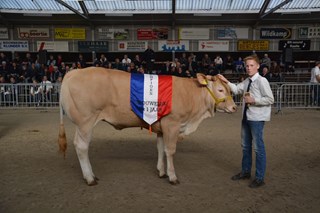 Kamp.vrl. tot 1 jaar