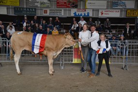 Kamp.vrl. 1 tot 3 jaar