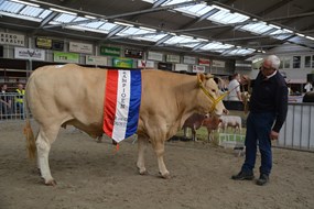 Kamp.vrl. 3j. en ouder