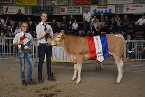 Kamp.mnl. tot 1 jaar